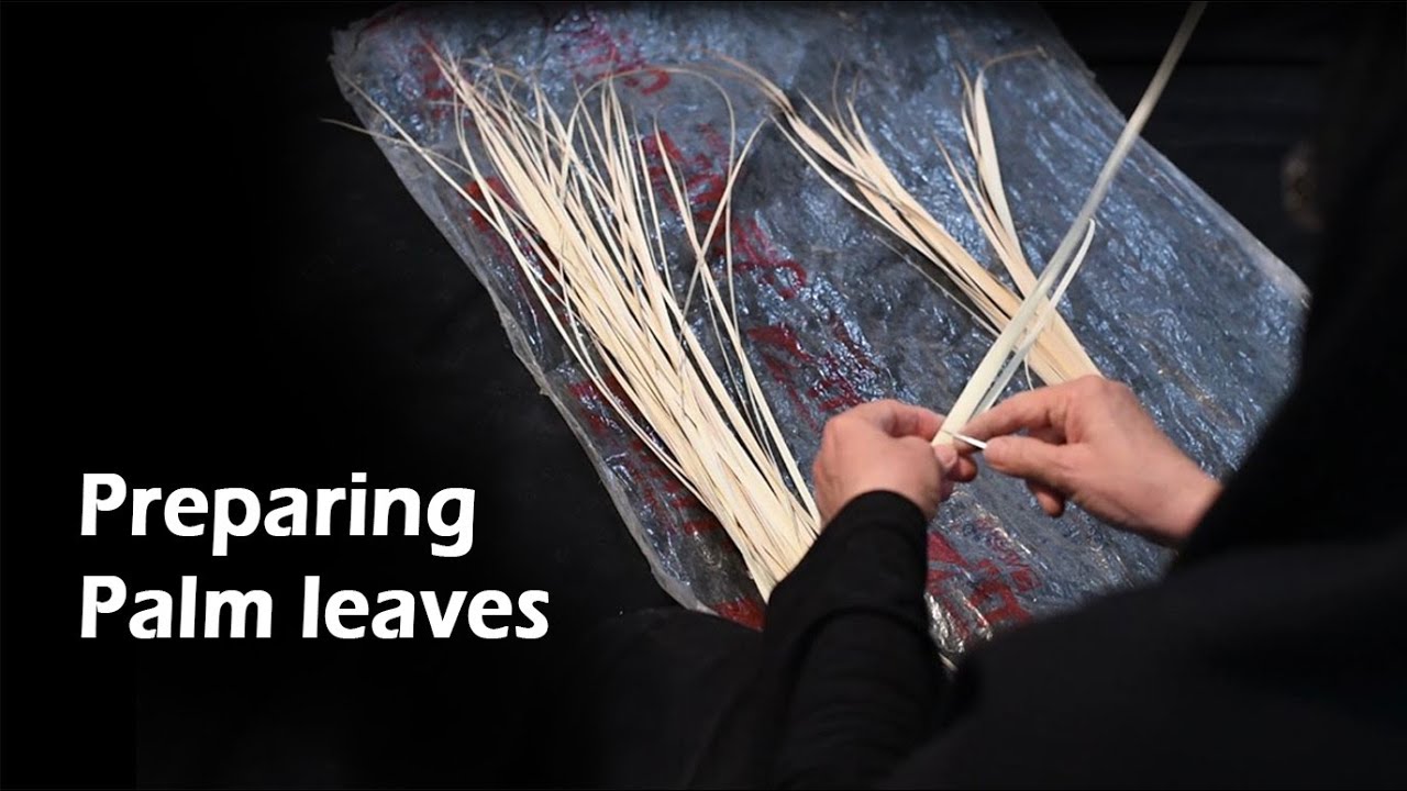 Preparing Palm leaves (kapu weaving: Part 6) (کپوبافی)