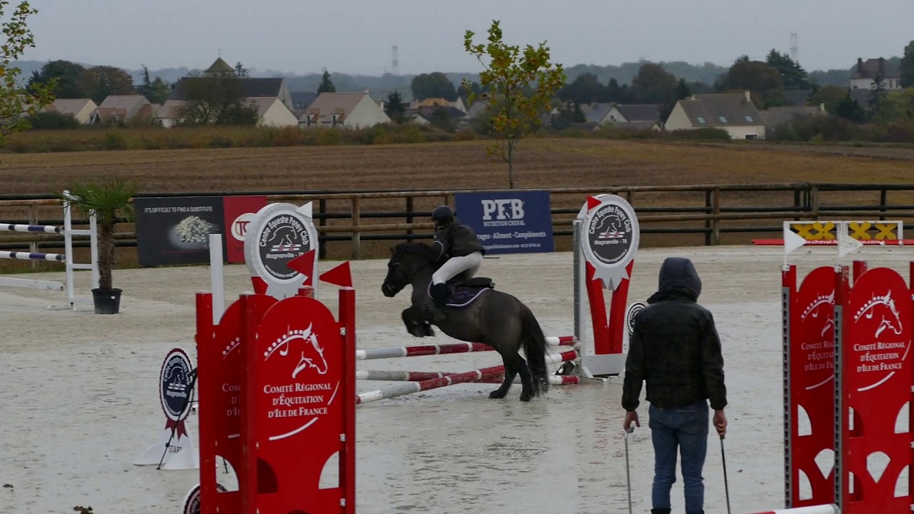 Dryade du Petit Gu&eacute; - Magnanville - 20.10.19 A &eacute;lite