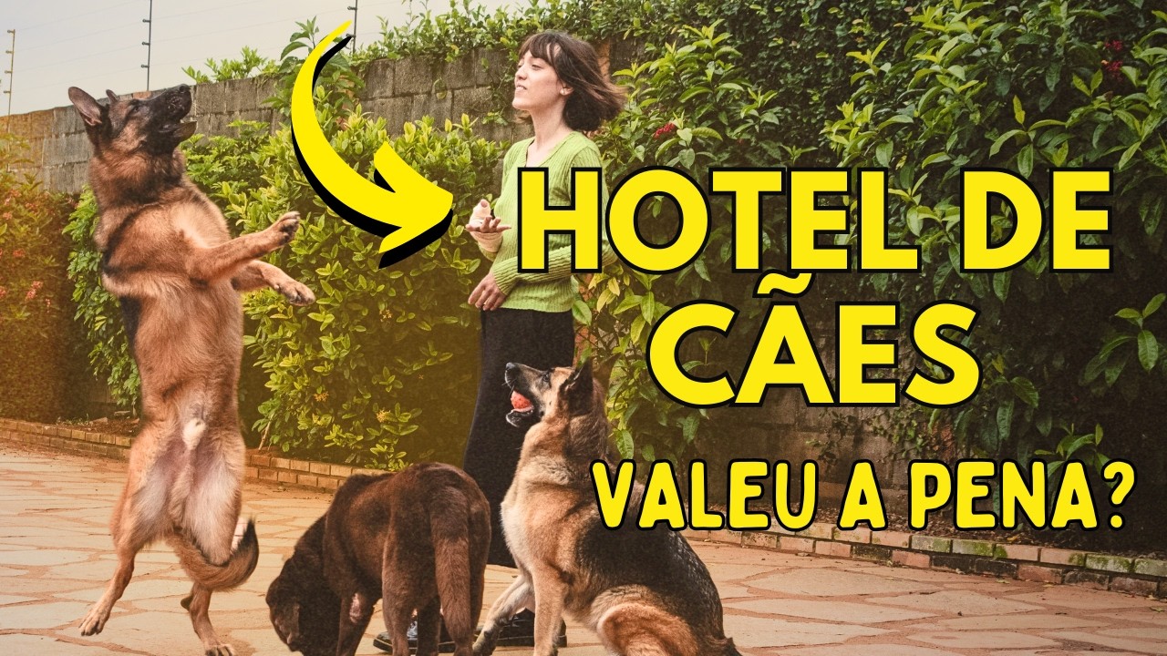 O Que Você PRECISA Saber Sobre HOTEL PARA CÃES