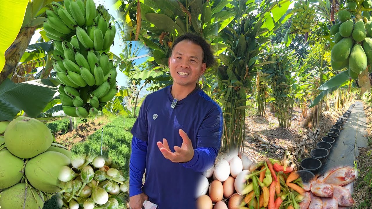 ปลูกป่าภายใน 3 เดือนมีเงินใช้!!เป็นไปได้ไง? 🌱