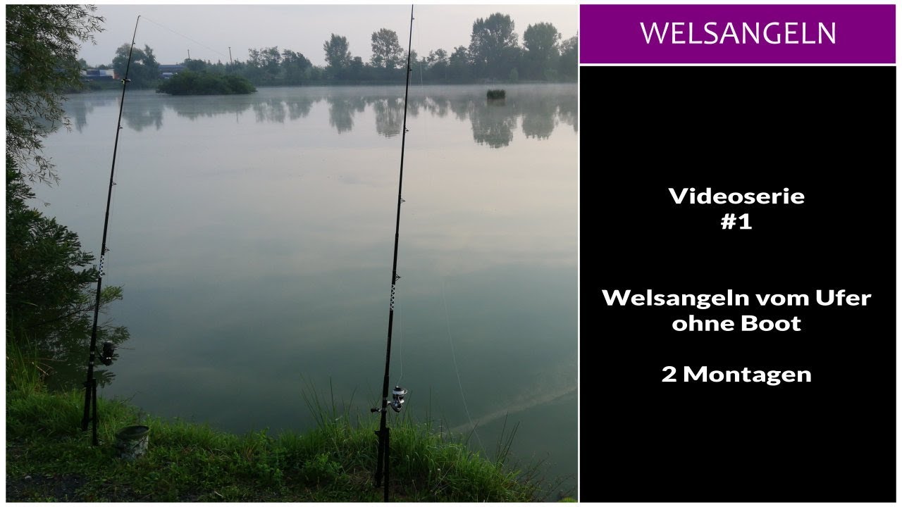 Welsangeln vom Ufer ohne Boot Teil 1 - Fishing Point