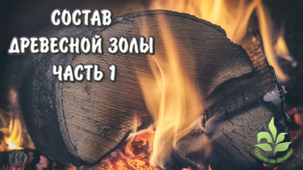 Состав древесной золы часть 1