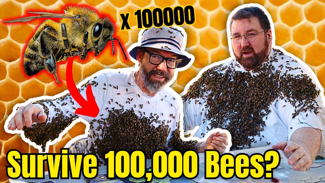 Extreme Board Gaming - Bees Edition