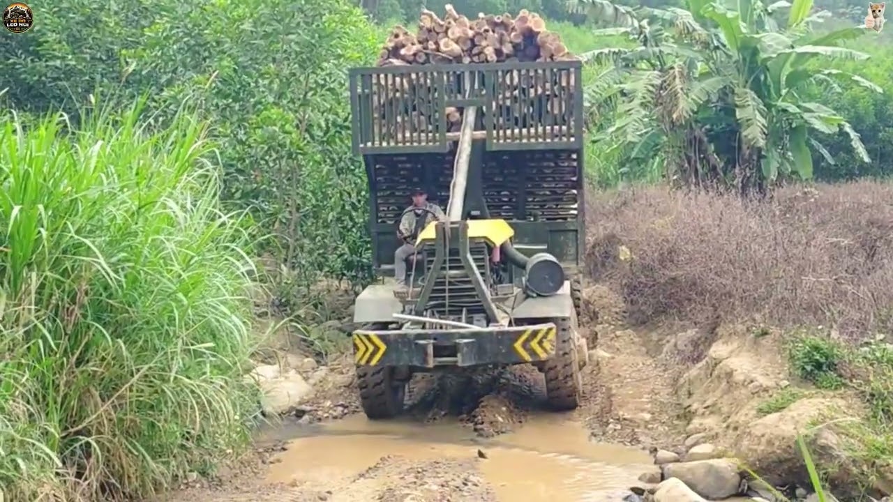 Xe Độ Vùng Cao Chở Keo – Hành Trình Nguy Hiểm Giữa Rừng