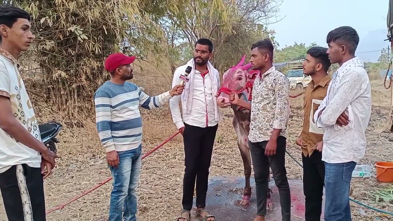 सोन्या 2211 मुंबई मध्ये मोठी शर्यत करणार ती पण एक नंबर मध्ये 