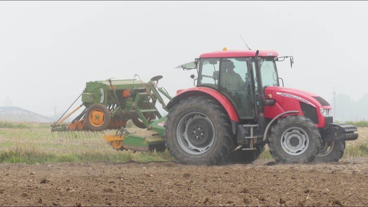 Siew pszenicy 2019 u sąsiada |Świętokrzyskie| Zetor Forterra 115 +Eberhardt 2,5 + Amazone D7