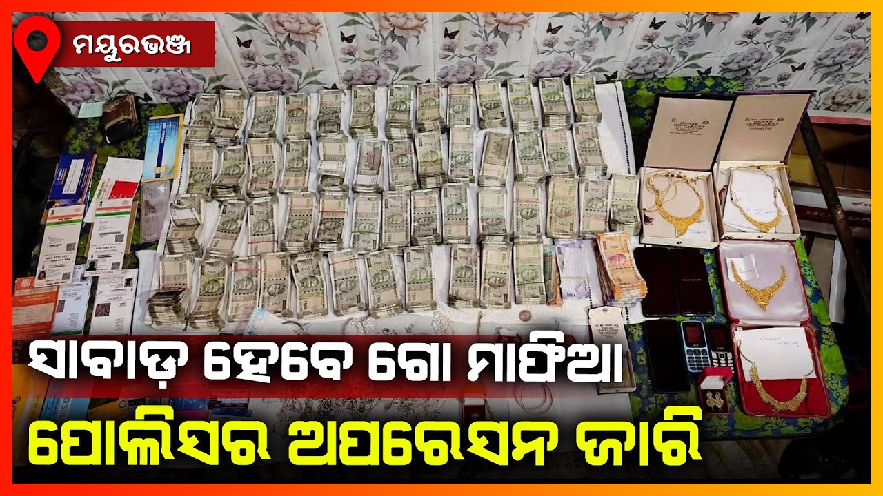 ସାବାଡ଼ ହେବେ ଗୋ ମାଫିଆ,ପୋଲିସର ଅପରେସନ ଜାରି || MAYURBHANJ NEWS