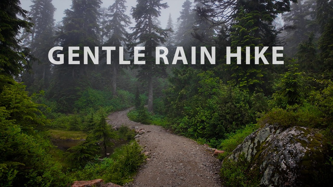 A Peaceful Rain Hike Through a Lush Old-Growth Forest: Black Mountain, Cypress Mountain Park BC