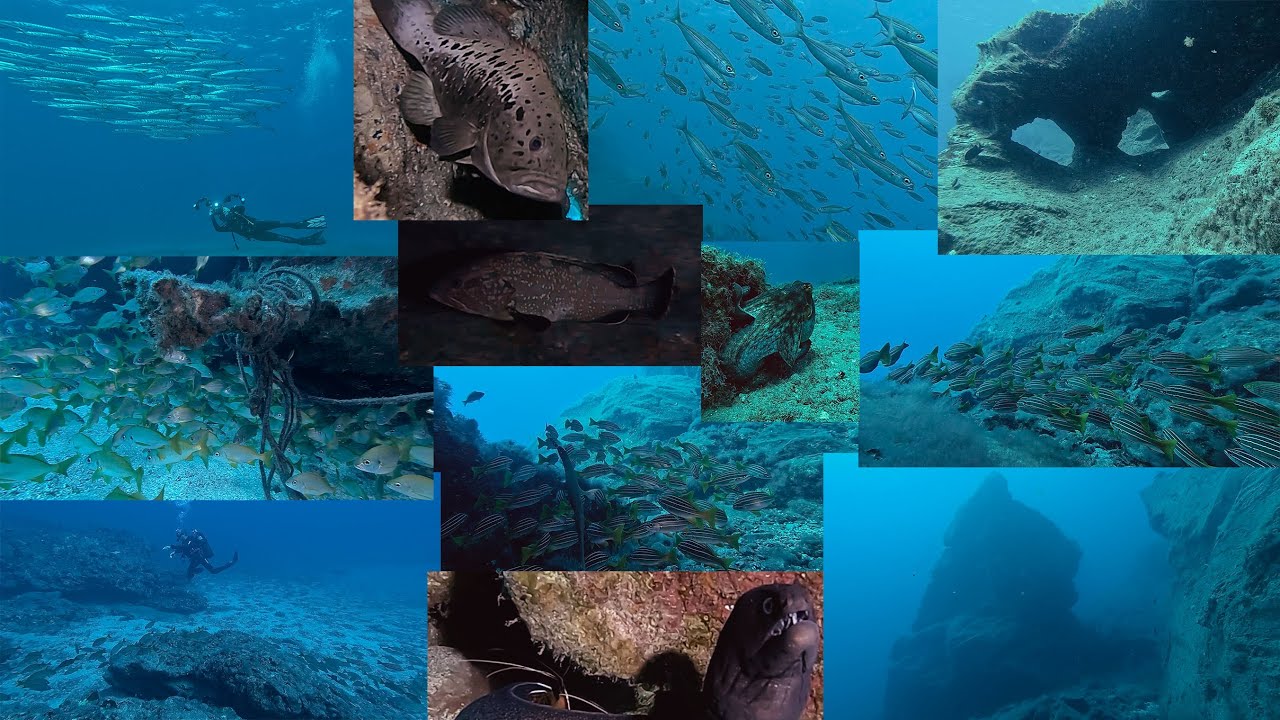 Buceo en Porís de Abona 02-11-2025