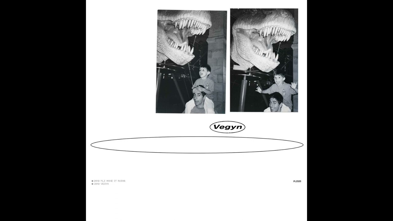 Vegyn &ndash; Cowboy Allstar