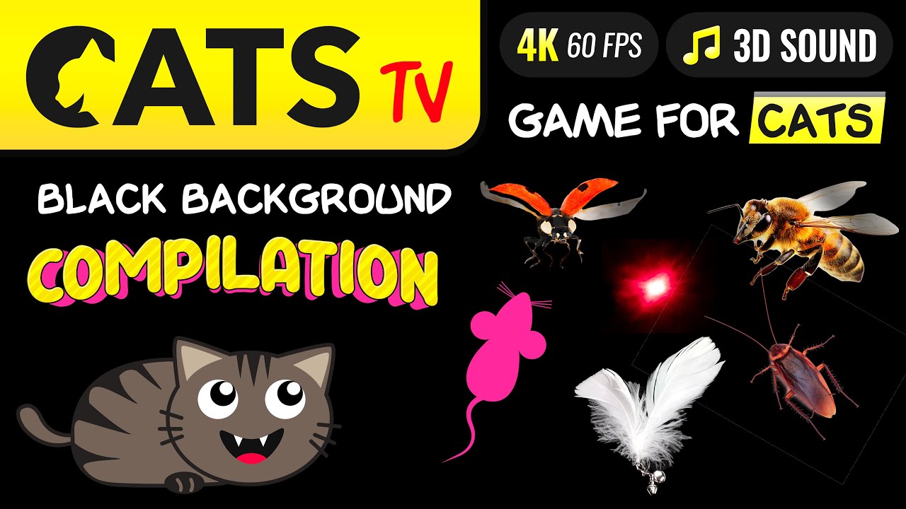 CAT TV -  ULTIMATE Compilation for cats 🙀🐝👀🪳 Game for cat 🔴 4K [60FPS]