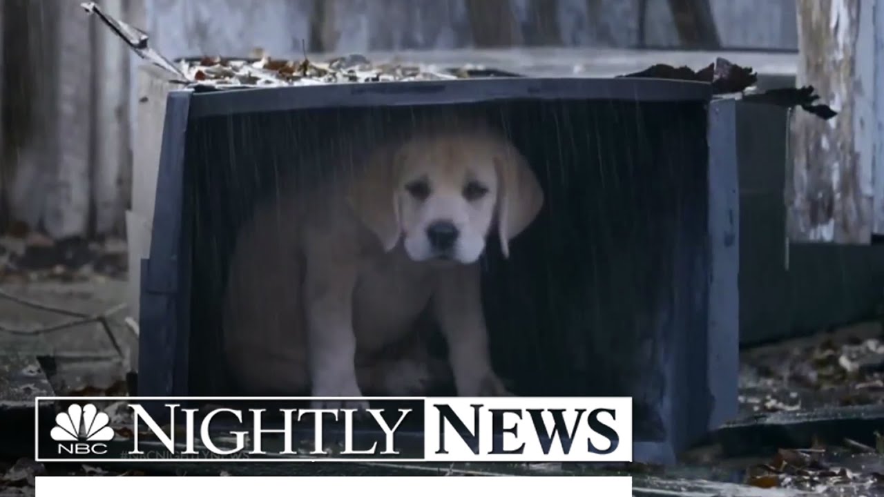 Super Bowl Commercial Preview: 2015 Bigger Than Ever | NBC Nightly News