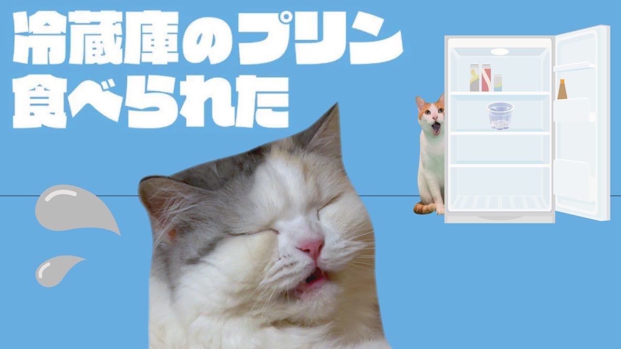 冷蔵庫のプリンが食べられてるッッ！！！【漫才】【コント】 【猫アニメ】