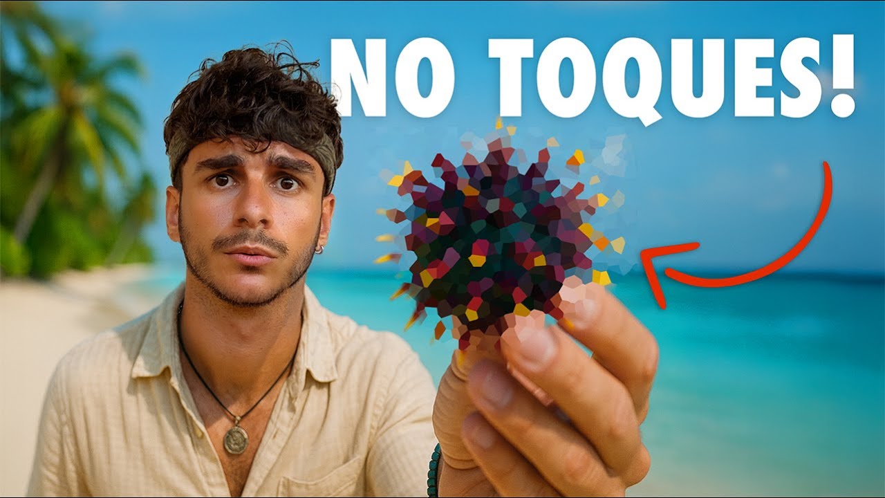 Los PELIGROS REALES de Bali que Nadie te Cuenta Antes de Venir