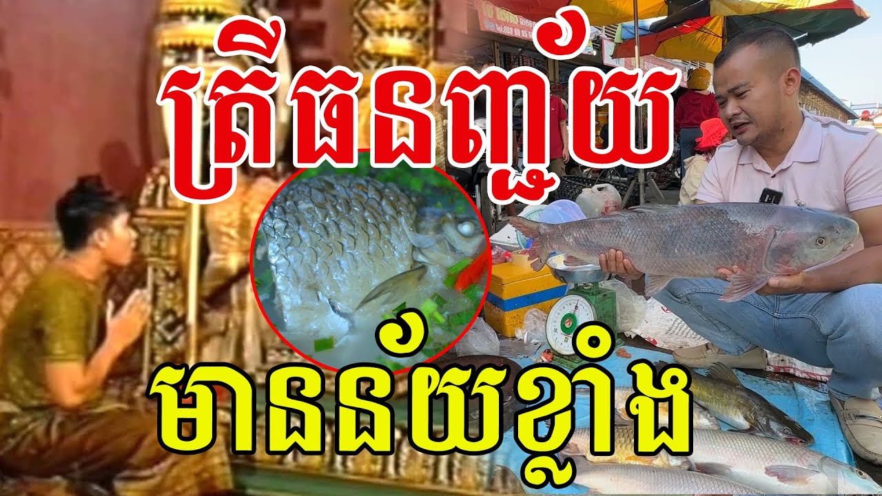 ត្រីធនញ្ជ័យ​ មានន័យខ្លាំងណាស់​ មិនសូវមានអ្នកស្គាល់ទេ