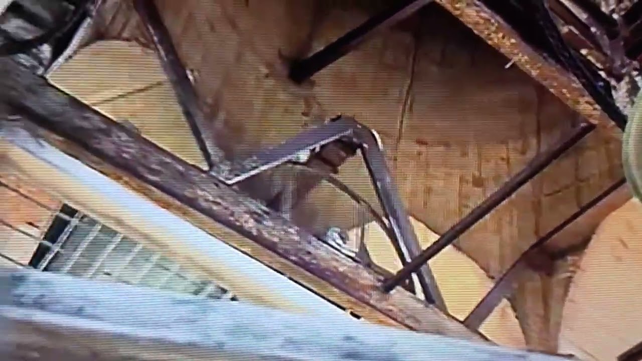 Le campane della cattedrale dei Santi Pietro e Donato di Arezzo suonate varie dalla cella campanaria