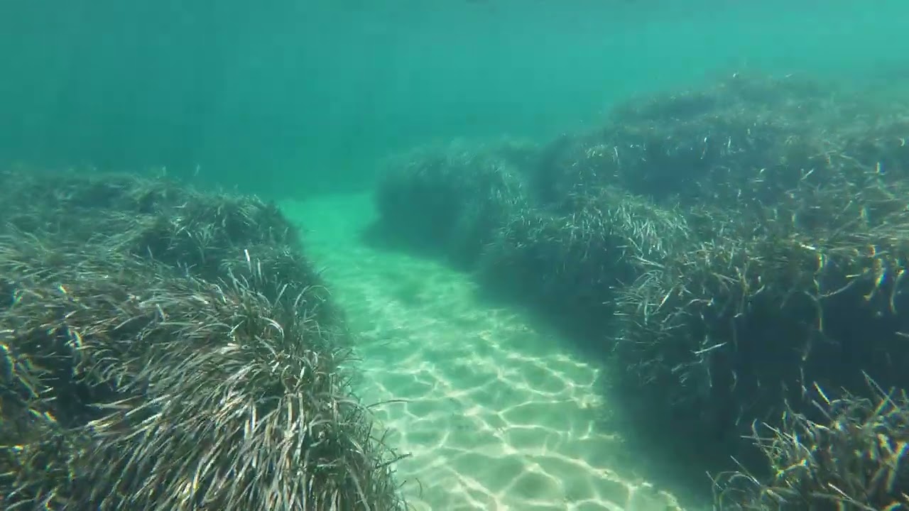 Nea Potidea / Νέα Ποτίδαια / Chalkidiki - Unter Wasser