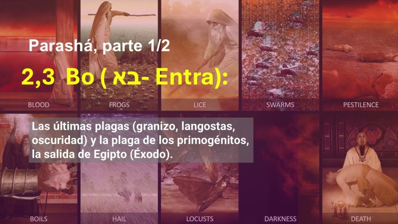 2,3. Parashá Bo Éxodo 1/2 (בא - Entra):