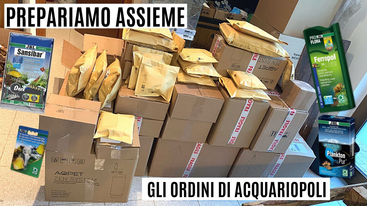 Cosa avete ordinato su ACQUARIOPOLI? Prepariamo assieme i pacchi 📦
