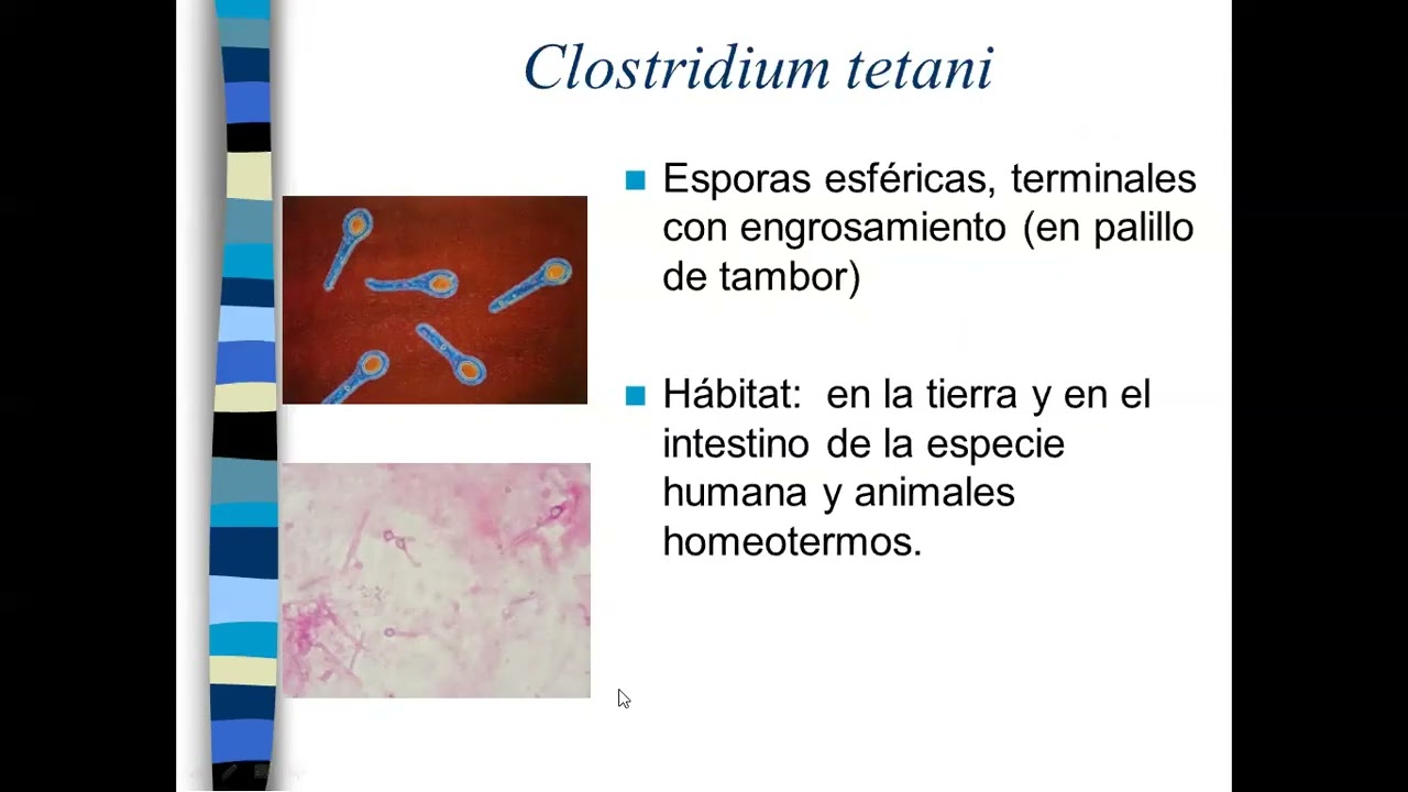 Copia de 18 Cultivo de bacterias anaerobias