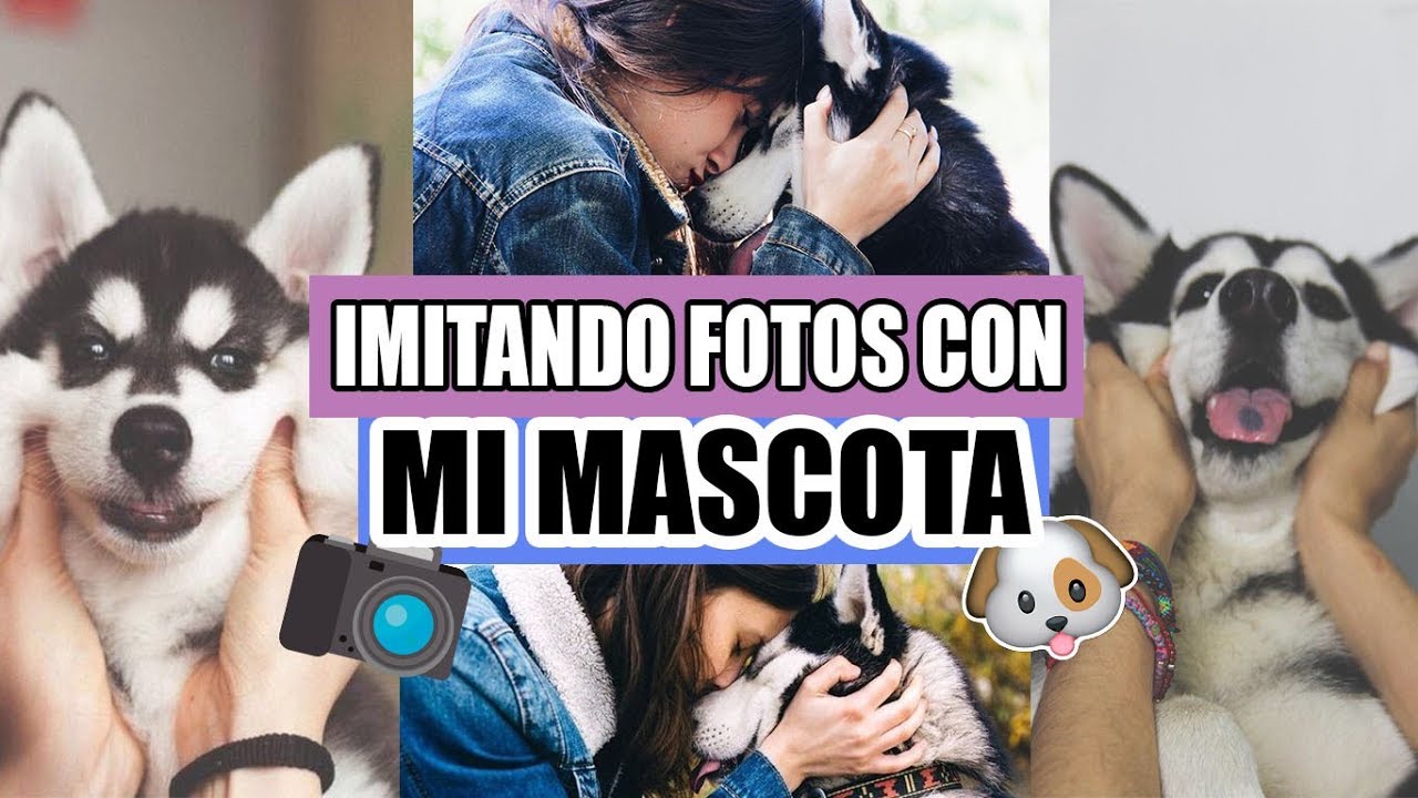 IMITANDO FOTOS TUMBLR CON MI MASCOTA | Soyalerios