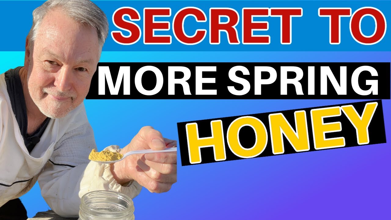 Beekeeping's Shocking Strategy For Spring Honey Production