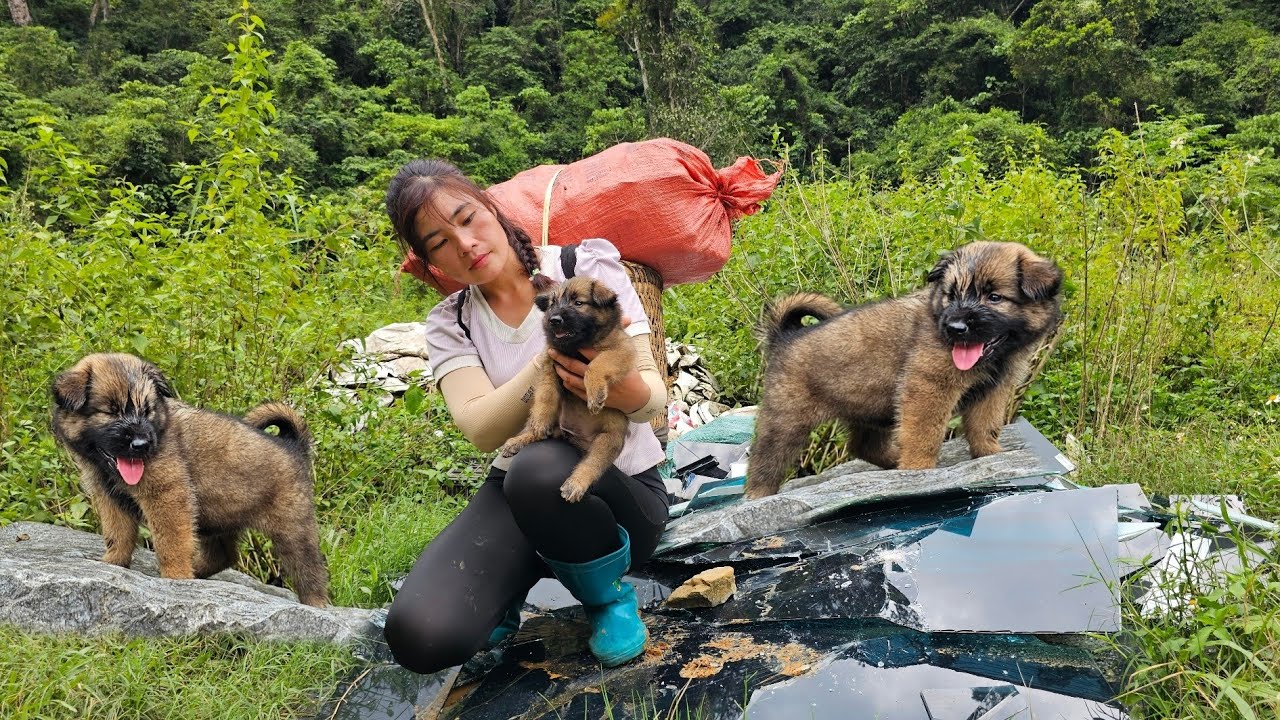 Single mother - Picking up scrap, accidentally saved an abandoned puppy