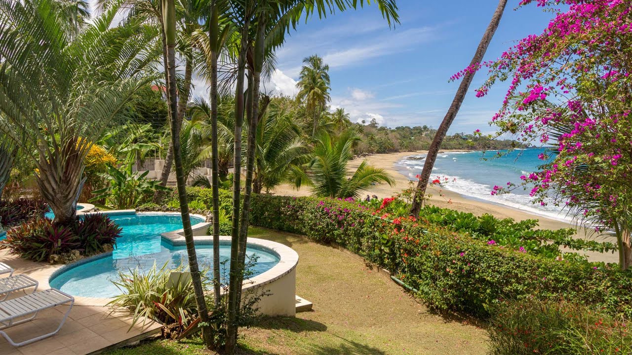 Anthurium Suite, Black Rock Dreams, Tobago