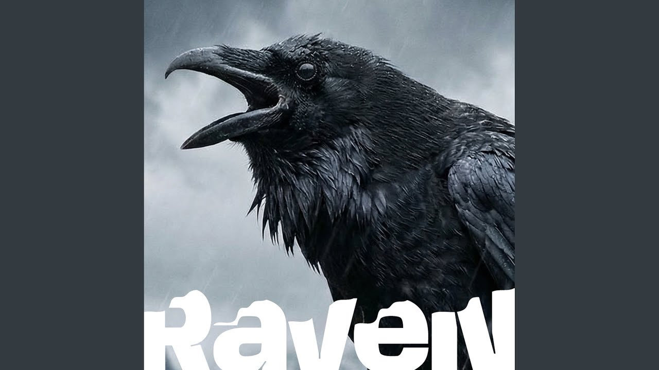 Cracks In Your Armor (Version 1)