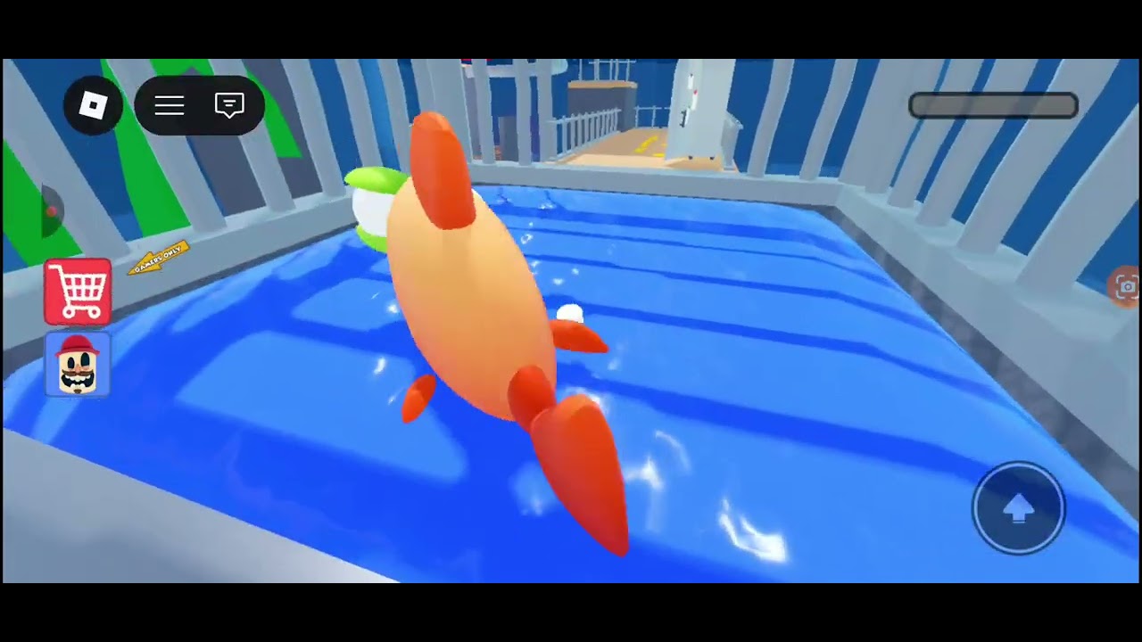 Playing escape from the pet shop.