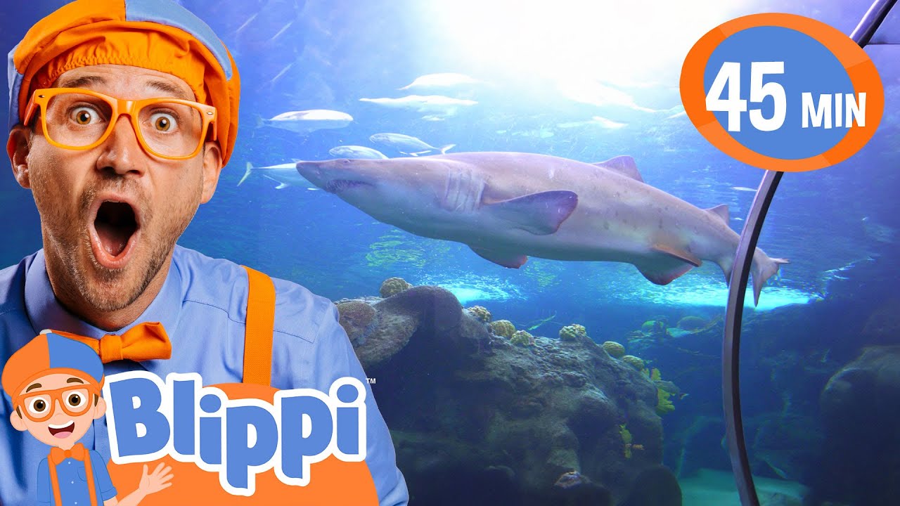 Blippi sees a Shark at the AQUARIUM | Blippi & Meekah Challenges and Games for Kids