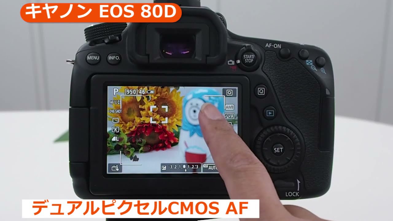 キヤノン EOS 80D （カメラのキタムラ動画_Canon）