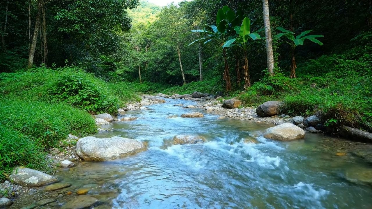 Calm Your Thoughts – Beautiful Enchanted Water River Sound in Gentle Stream – Relax