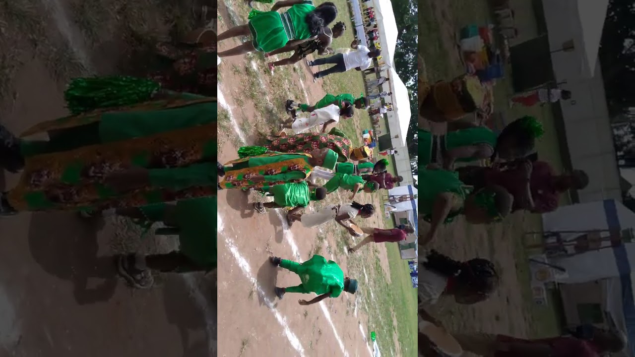 Sunnydale School 2025 Sport fiesta...Greenhouse Parade...