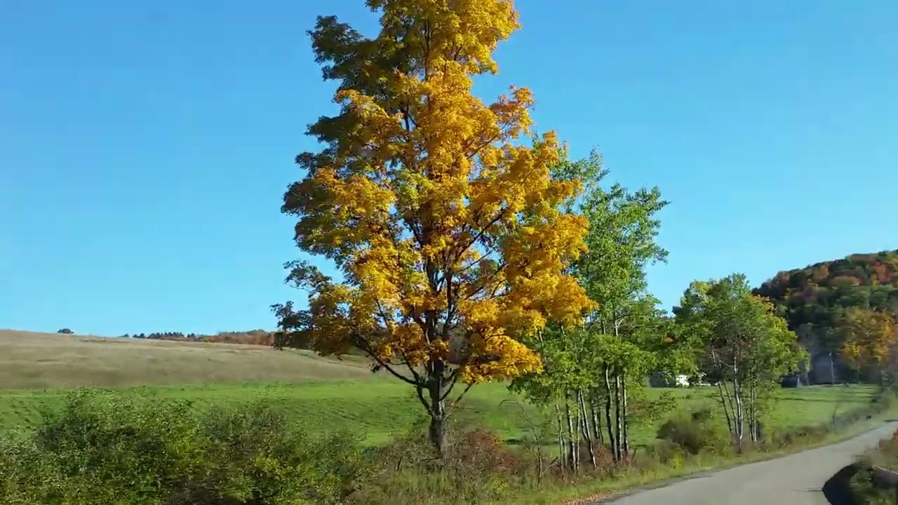 RDMVTL 19,091 ~ 10 14 2016 {MY RXW STORY} w/MAX : DRIVE TO JR's FARM @ CATON , NY