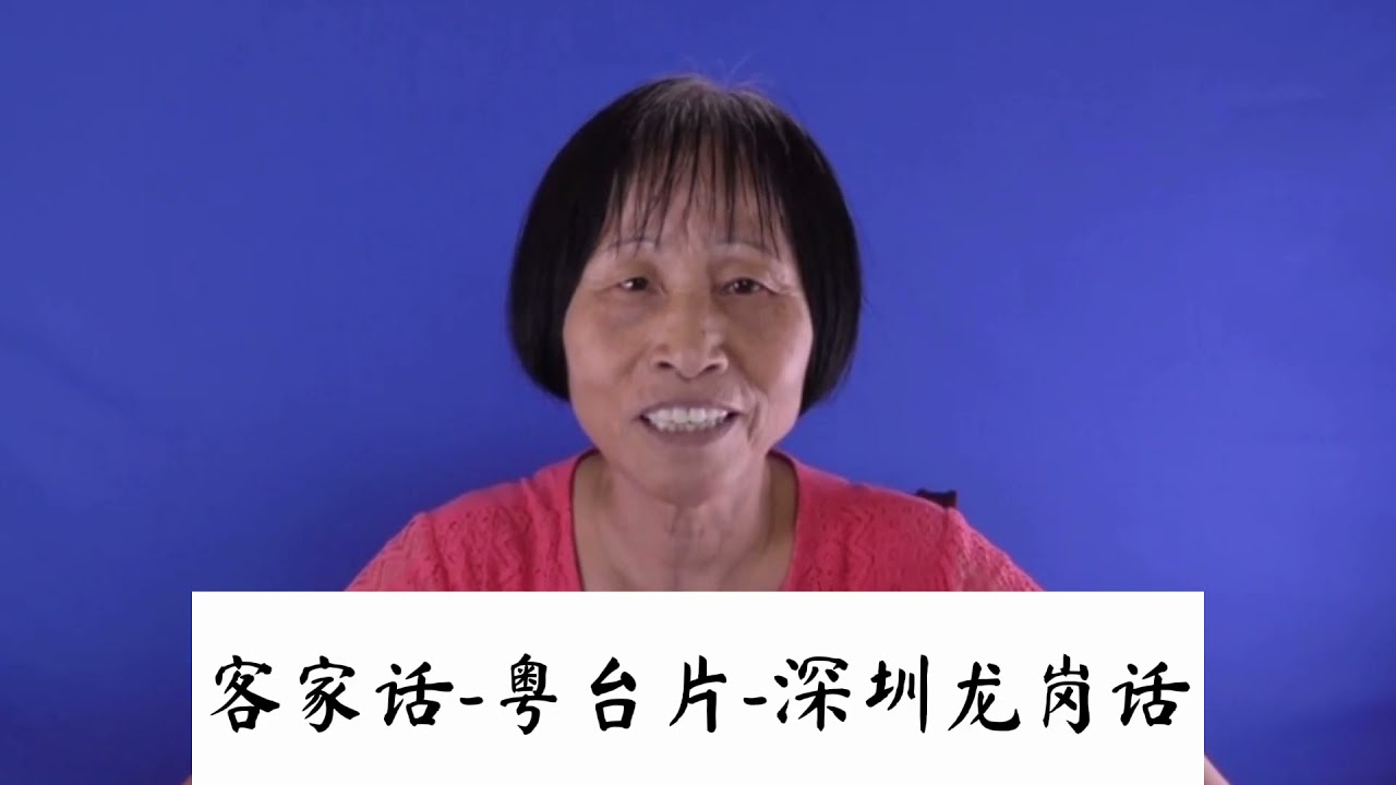 242 客语/客家话的不同分类和例子 The different clusters of the Hakka language and examples