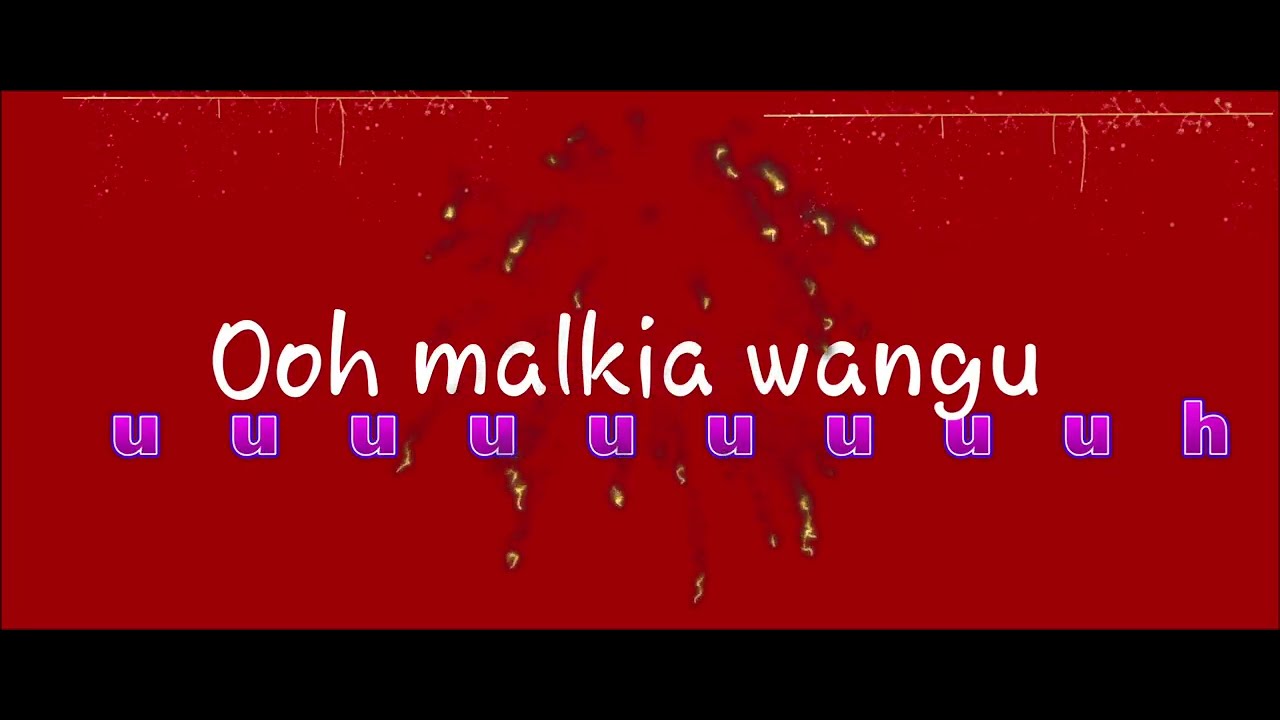 Danstar Dizoo -Babe Mama (official music lyrics Video)
