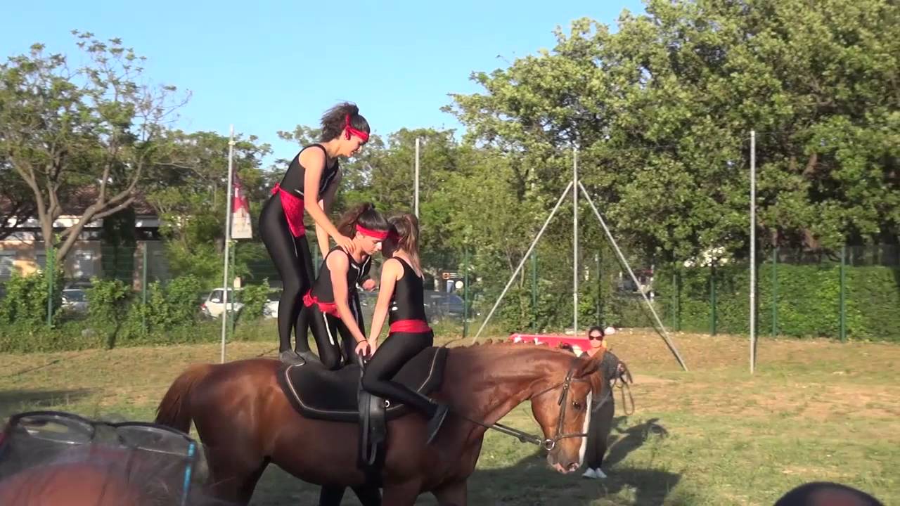 Voltige Equestre lors du Spectacle du Lycée Rouvière - 2016