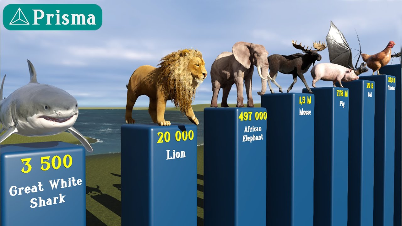 Animal Population Comparison 2025