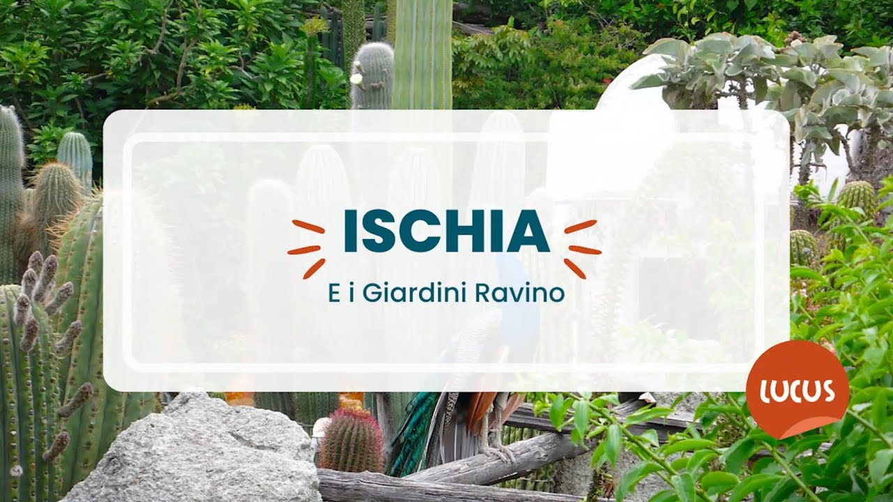 Ischia e i Giardini Ravino - 16 settembre 2023 - #ThisIsIschia