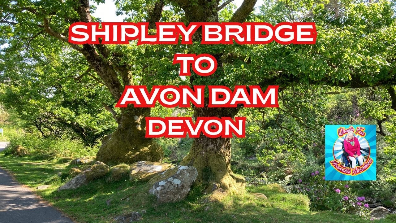 Trying out the fabulous accessible route from Shipley Bridge to Avon Dam takes you through Dartmoor.