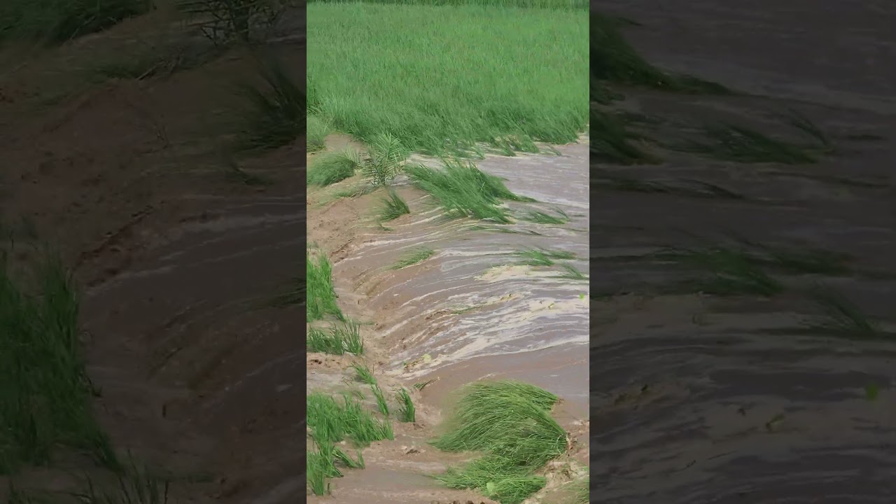 Flood situation Jalalpur bhattian