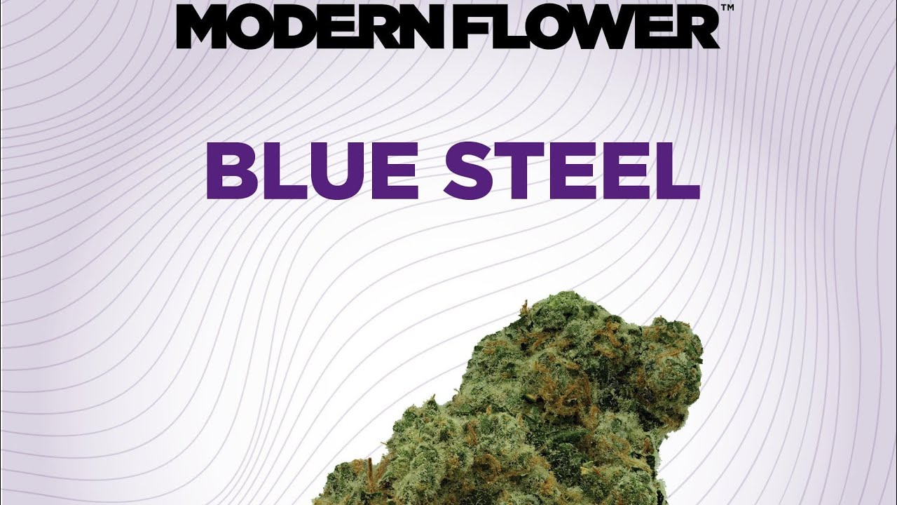 Blue Steel Strain Review #zaza #zot #cannabiscommunity420 #420blazeit #pcb 