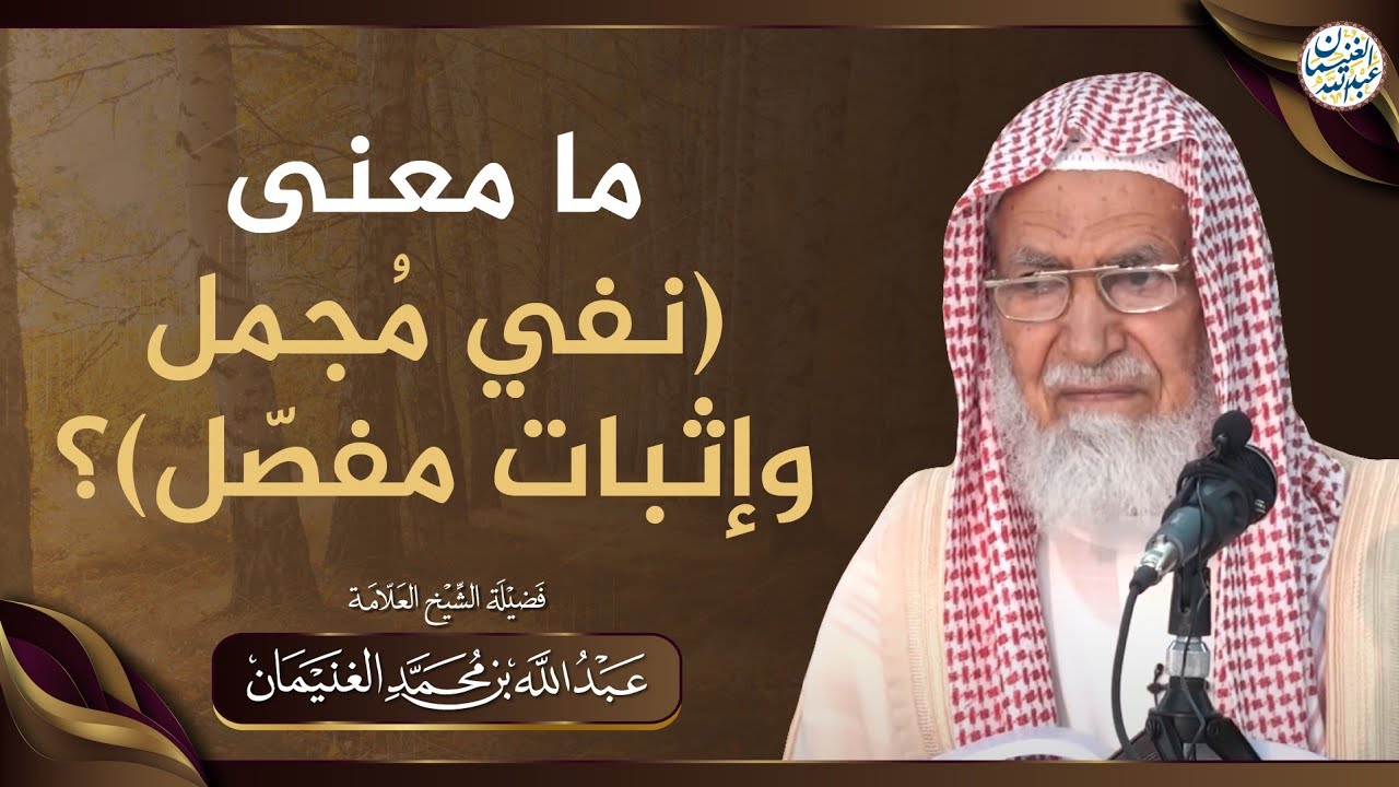 ما معنى (نفي مُجمل وإثبات مفصّل)؟