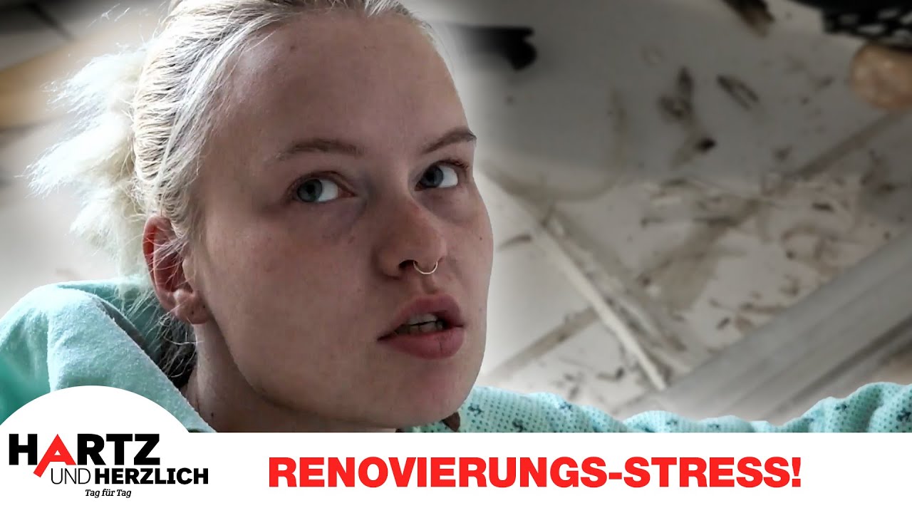 Baustellen-Chaos: Cindy kämpft um ihr Traumhaus! 👀 | Hartz und herzlich - Tag für Tag #596