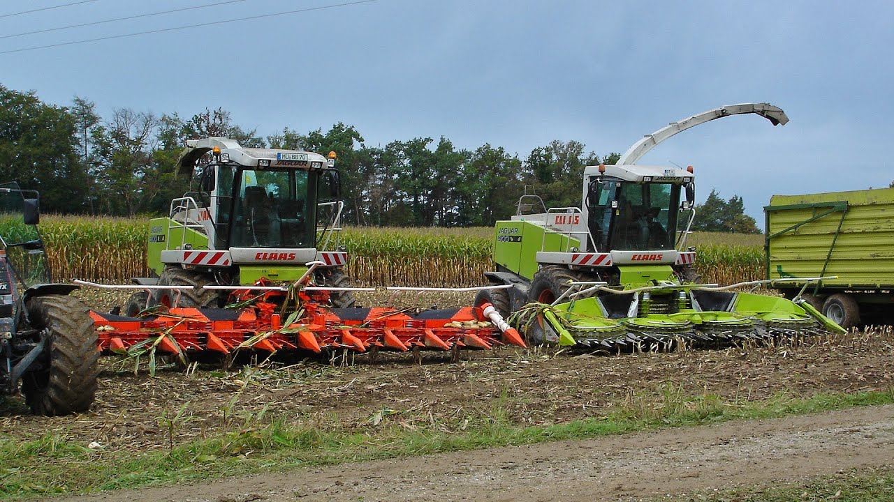 2 x Claas Jaguar 900 bei der Maisernte