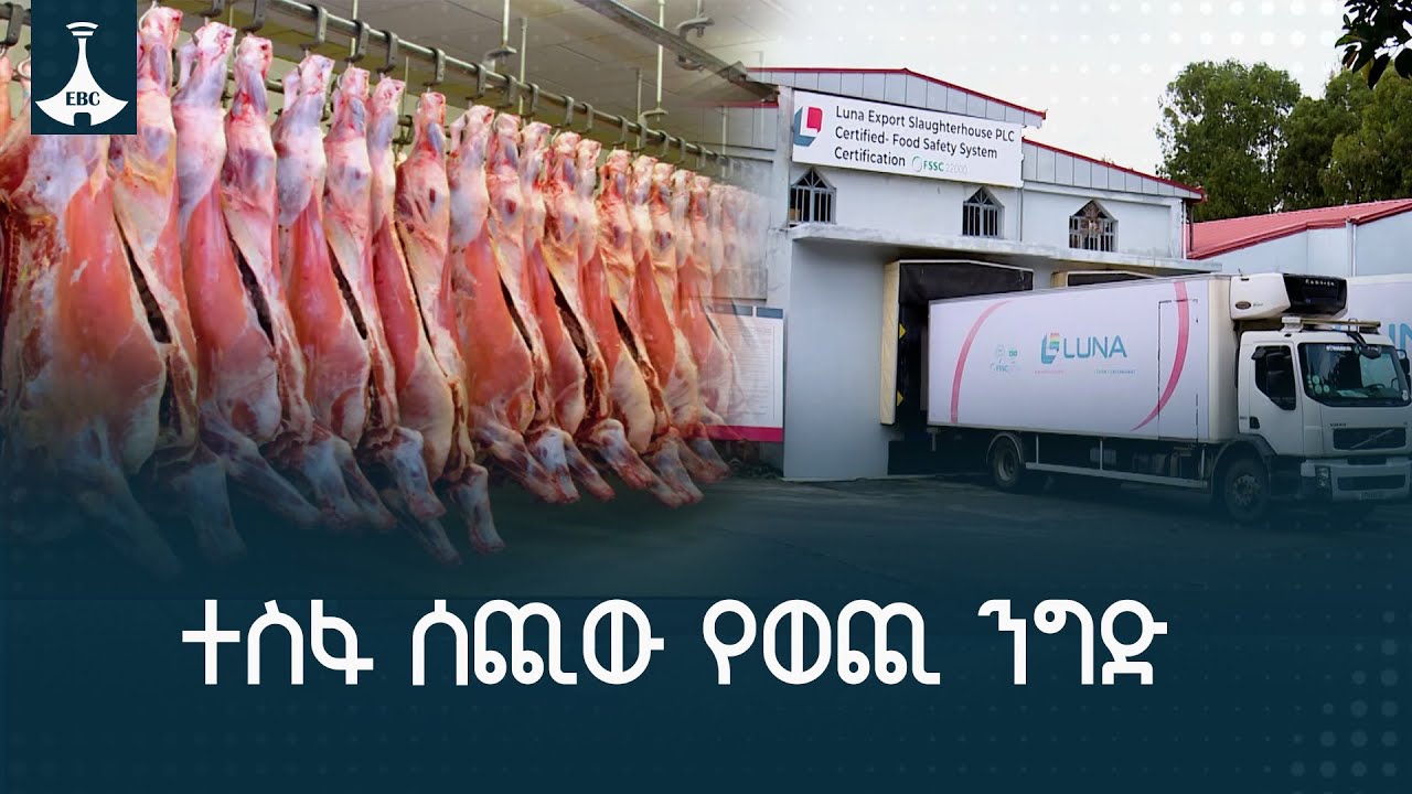 ተስፋ ሰጪው የወጪ ንግድ ETV | EBC | EBCDOTSTREAM |BUSINESS