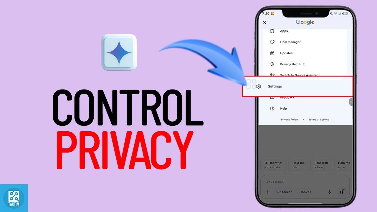 How To Control Gemini Privacy Settings 2025