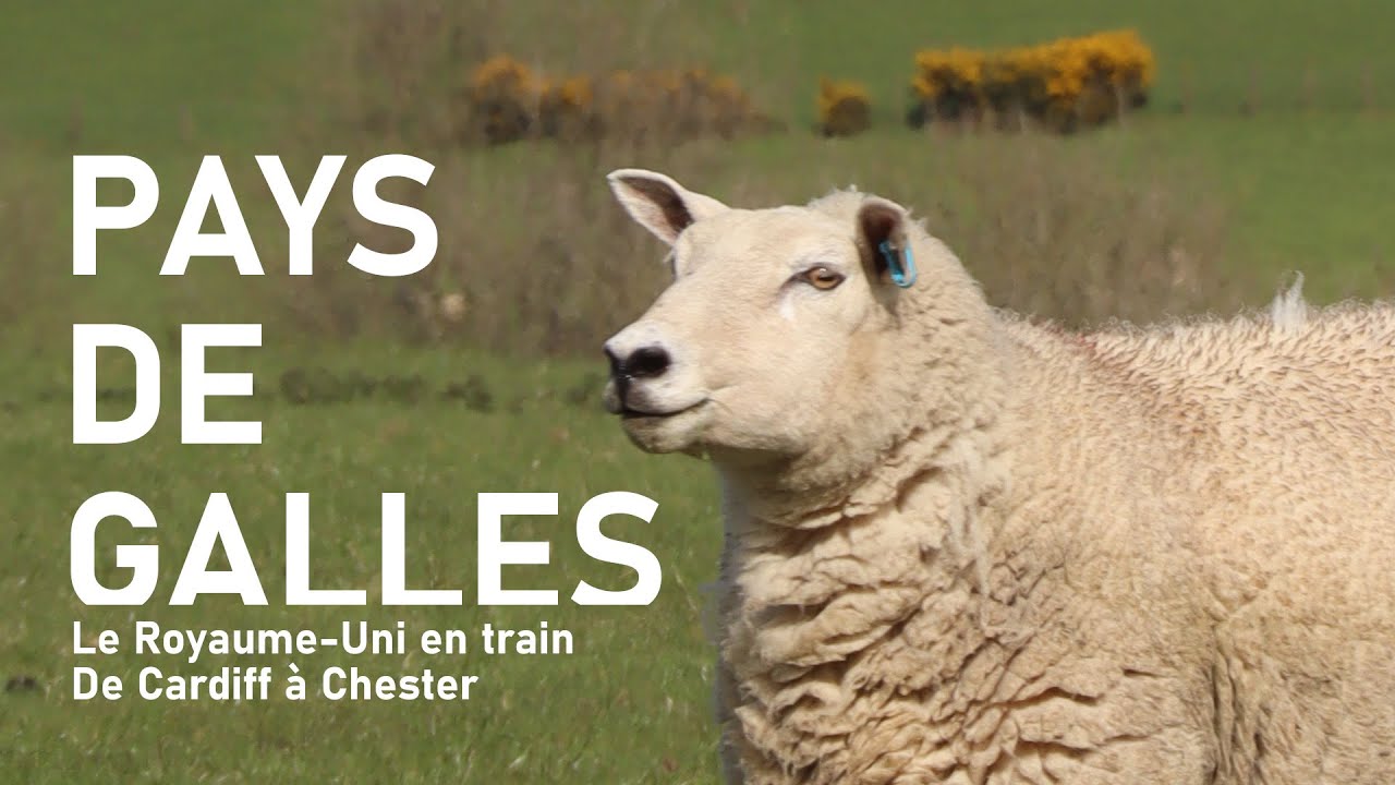 🐲Une semaine en train au pays de Galles 🚂