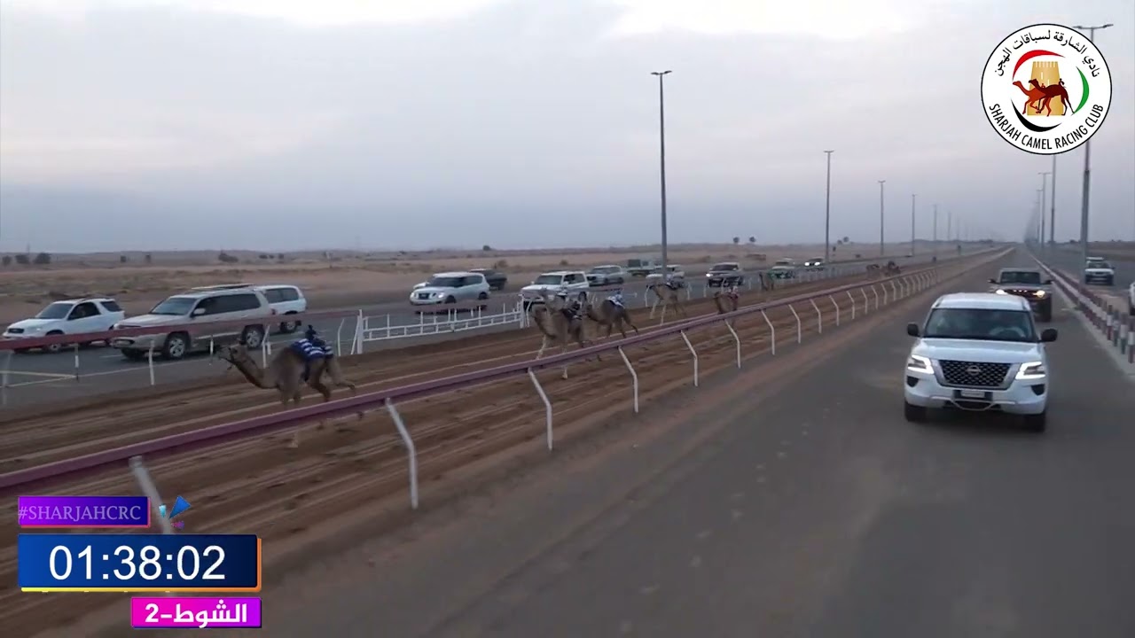 ميــدان الذيد - شـ 2 فطامين 28/02/2025 كفو لـ عبدالله سالم خصوني اجتبي التوقيت 2:05:56